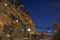 photo thumbnail