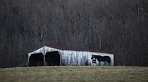 photo thumbnail