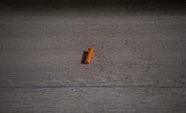 photo thumbnail