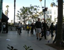 photo thumbnail